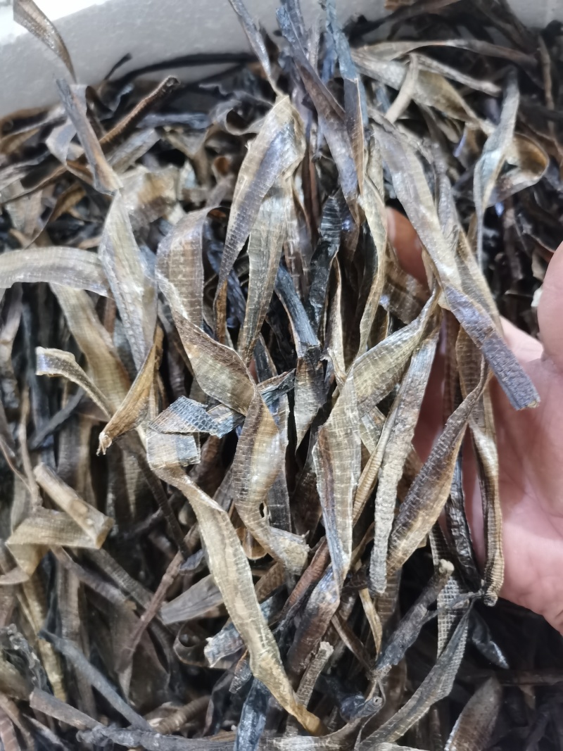 地龙精品半开地龙个批发零售各种规格中药材