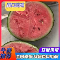 小吊瓜精品西瓜周口西瓜诚信商家保质保量全国发货一手货源