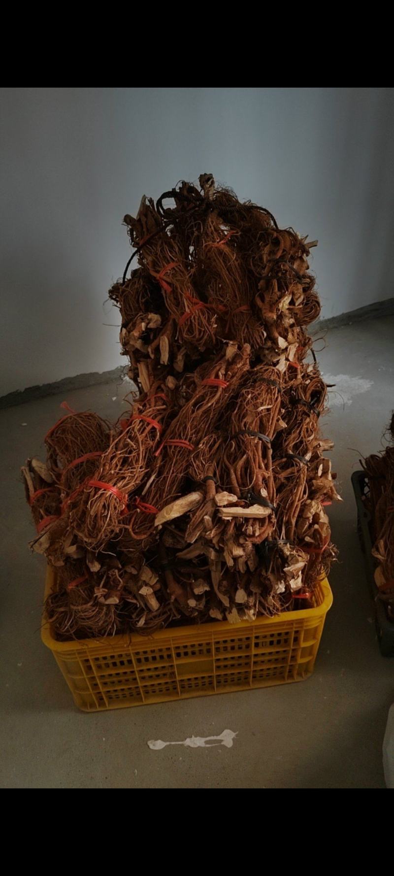 统货长扎五指毛桃