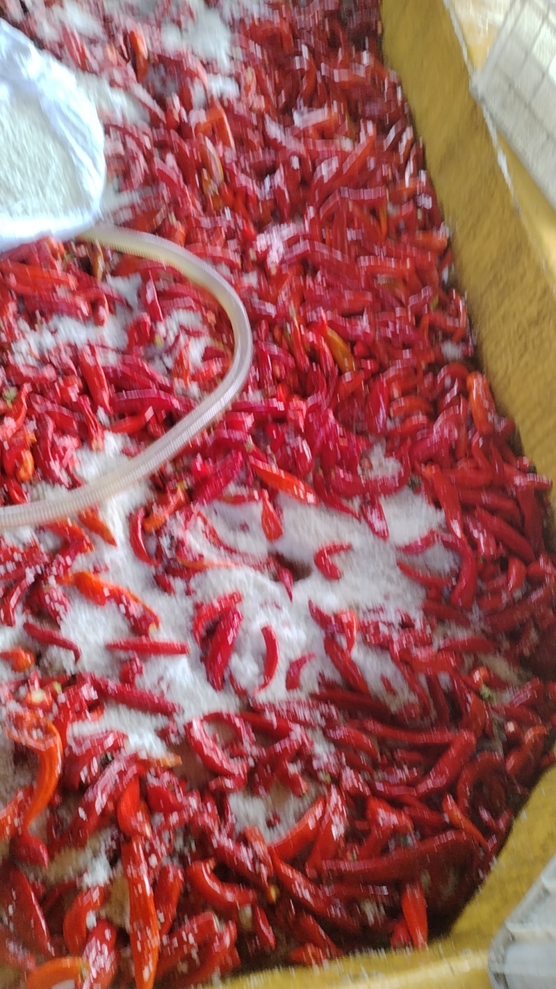 腌制泡椒腌制泡椒腌制泡椒