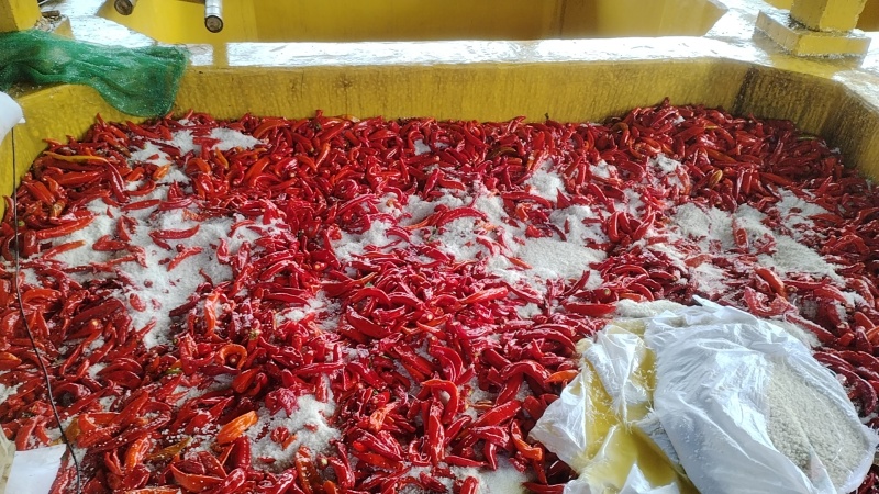 腌制泡椒腌制泡椒腌制泡椒