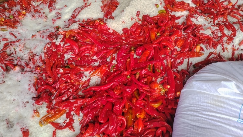 腌制泡椒腌制泡椒腌制泡椒