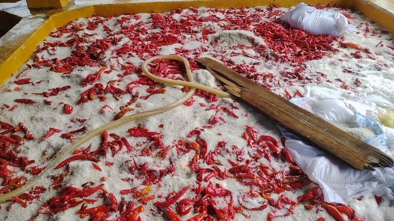 腌制泡椒腌制泡椒腌制泡椒