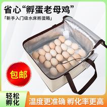 孵化器智能自动小型家用迷你孵化机鸡鸭鹅鸽子蛋保温箱水床孵蛋器