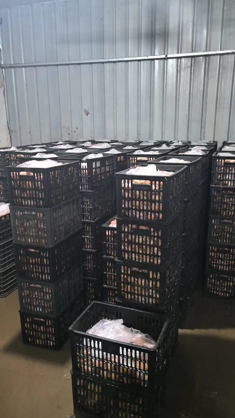 咸鸭蛋古法腌制流油咸放养纯粮食投鸭蛋一手货源常年产品稳定