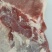 新鲜美味猪前腿肉大量批发