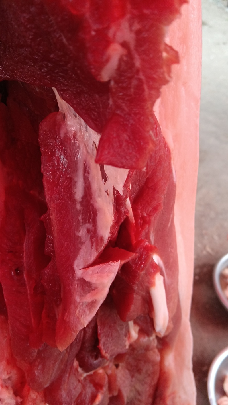 新鲜美味猪前腿肉大量批发