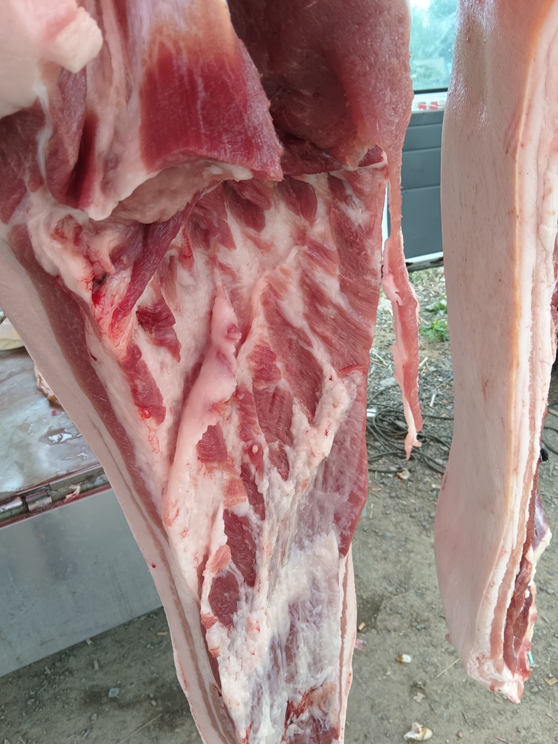 新鲜美味猪前腿肉大量批发