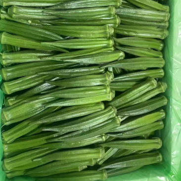 精品福建秋葵，精品散装袋装水果秋葵。基地直供。