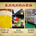（包邮）野山茶油纯正山茶油茶籽油天然茶树油正宗茶油食用油