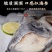 海参斑鱼海鲜批发海参鱼深海鱼海参斑海参斑鱼海鲜批发海参鱼深海