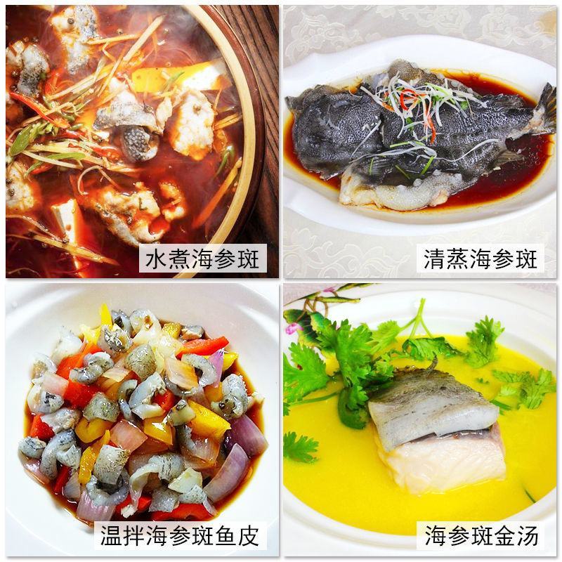 海参斑鱼海鲜批发海参鱼深海鱼海参斑海参斑鱼海鲜批发海参鱼深海