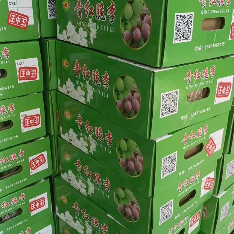 精品青脆李子四川李子货源充足量大从优质量保证欢迎咨询
