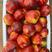 毛桃油桃产地一手货源充足，价格美丽，质量保证，产地随行就市！