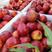 毛桃油桃产地一手货源充足，价格美丽，质量保证，产地随行就市！