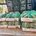 西瓜，美都西瓜，成熟度高，糖度高，全国发货