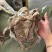 龙衣蛇皮蛇蜕长虫皮保庆药业实拍整条龙衣
