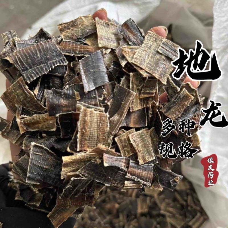 【货对版无泥地龙】小地龙全开地龙整条地龙地龙片蚯蚓干