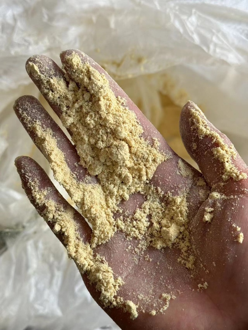 姜粉干姜粉味道浓粉细实拍现货发货如图