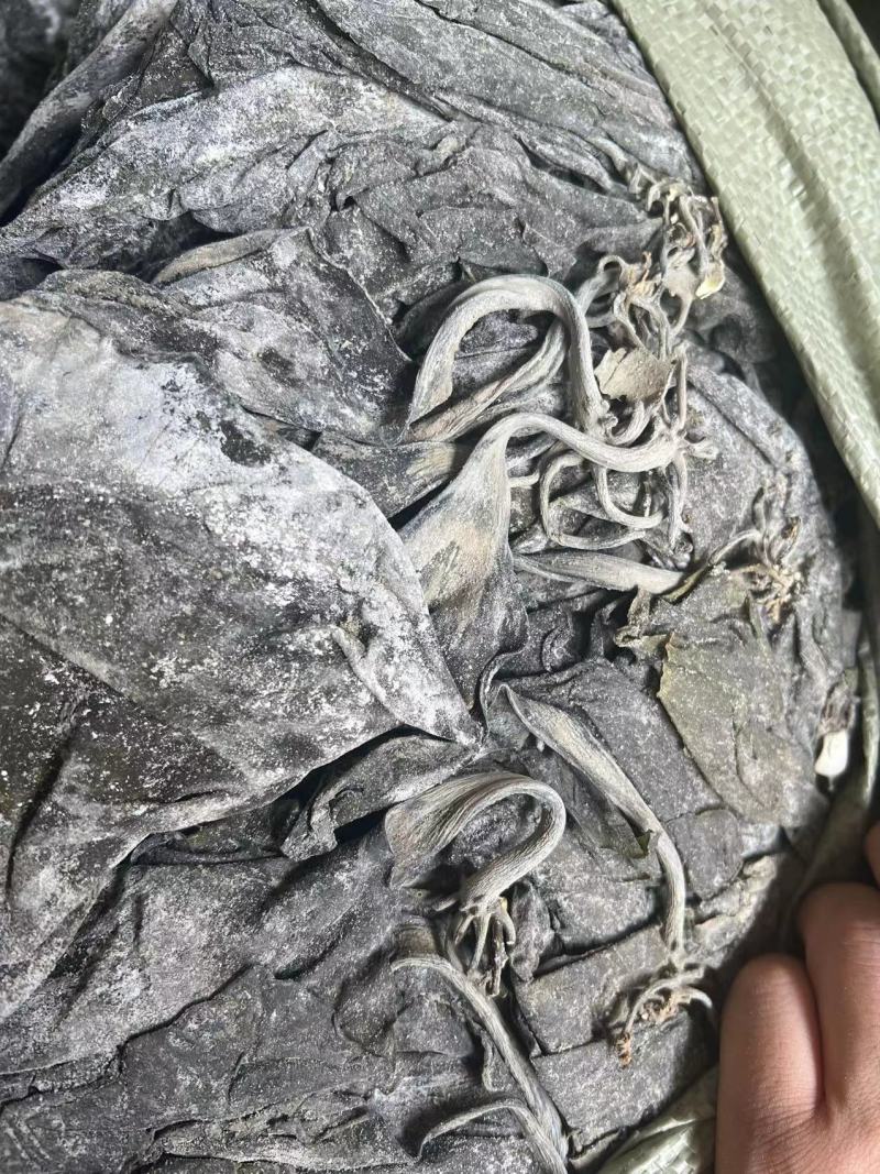 精品海带展会地摊福建无沙海带干今年新货厚海带皮海带干紫菜