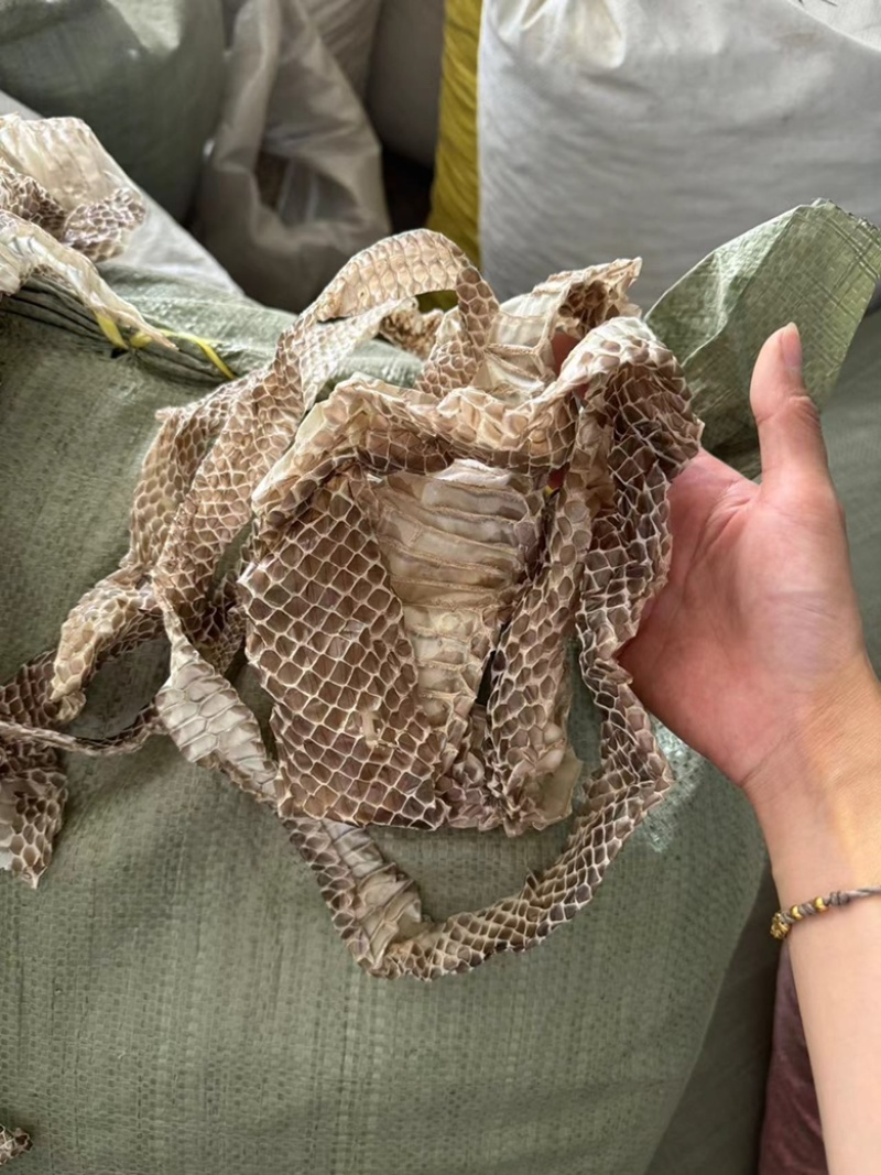 龙衣蛇蛇蛇皮长虫皮正品整条的货多现货