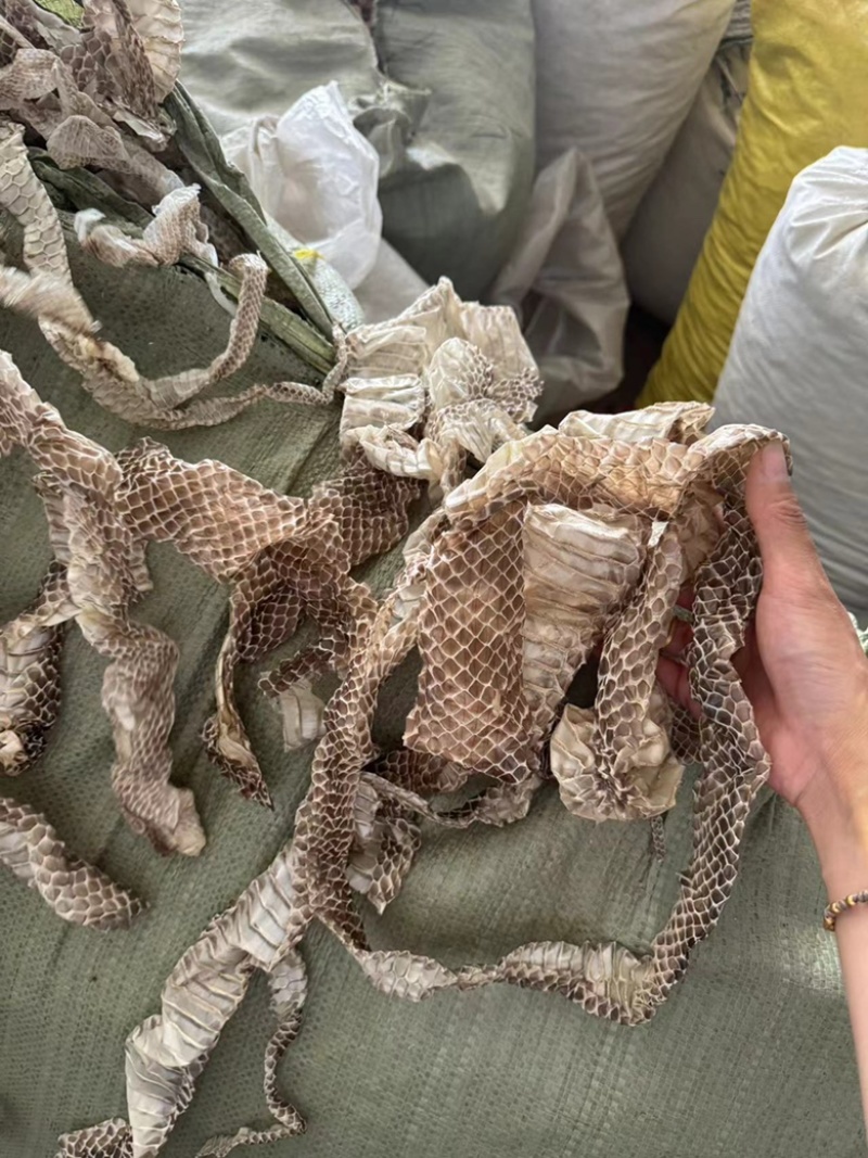 龙衣蛇蛇蛇皮长虫皮正品整条的货多现货