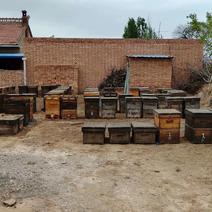 洋槐蜜各种蜂产品