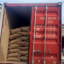 广州港；一集装箱16吨阿拉比卡咖啡豆