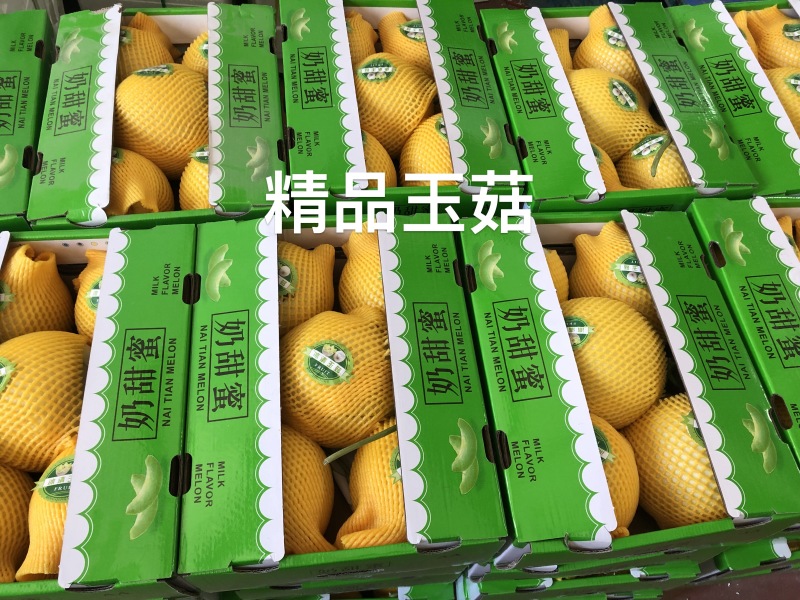 寿光羊角蜜博洋2k各类瓜果大量供应产地直采