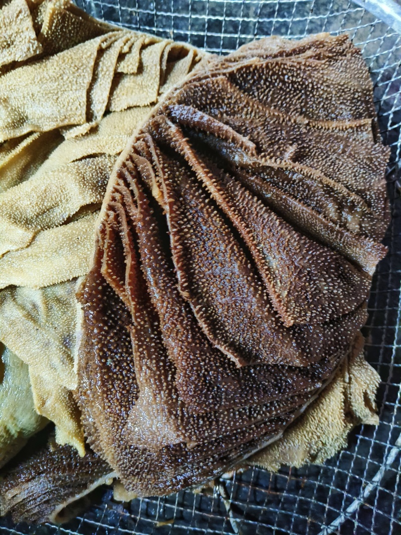 毛肚黑个子