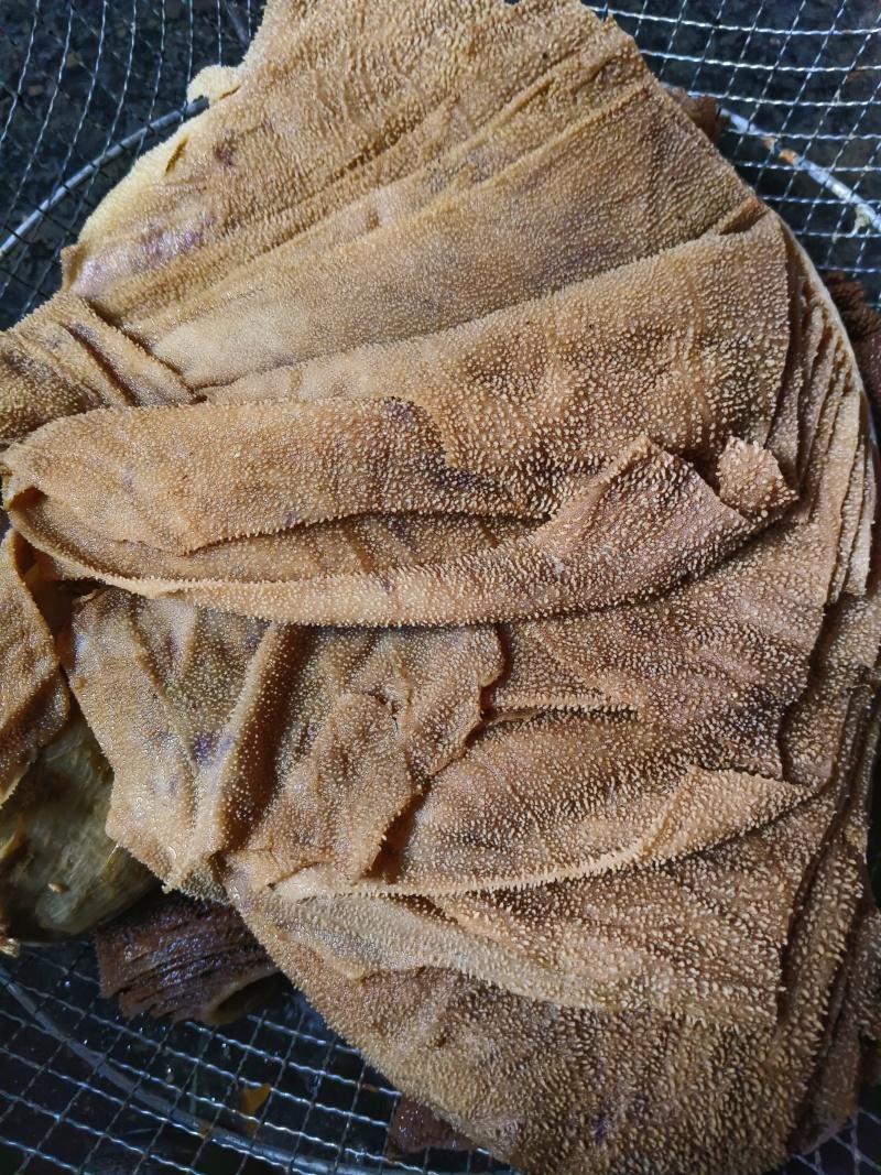 毛肚黑个子