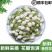 广西横县茉莉鲜花茉莉花苞电商1斤装2斤装3斤专业一件代发