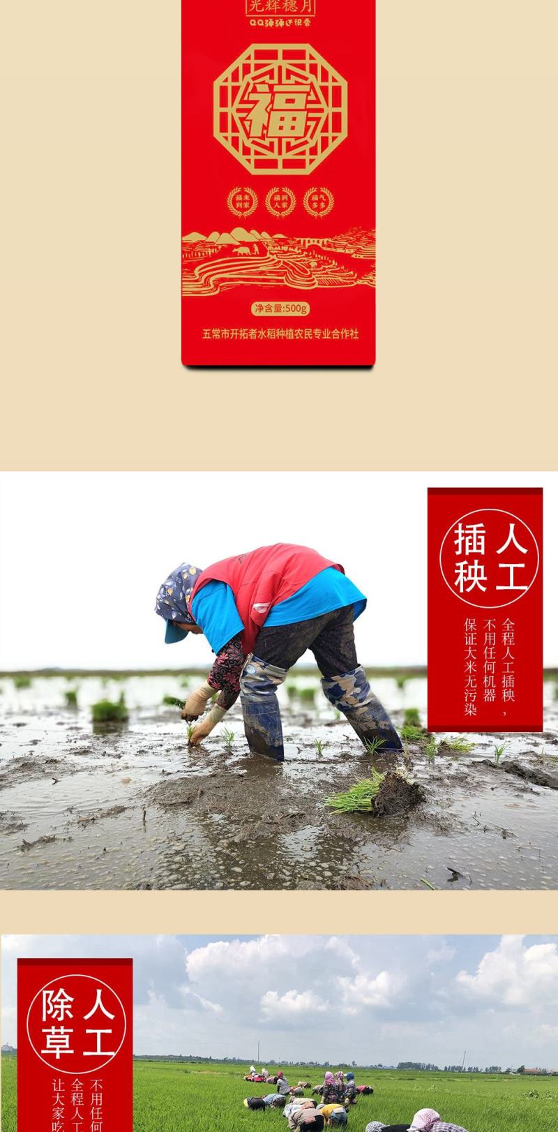 大米50斤装米东北黑龙江圆粒珍珠农家香米25kg五