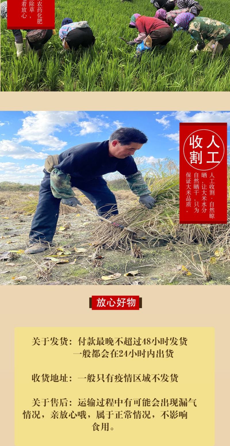 大米50斤装米东北黑龙江圆粒珍珠农家香米25kg五
