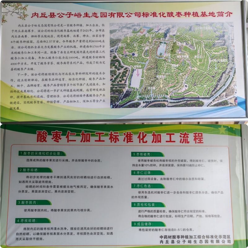 推荐【河北酸枣仁】源头厂家权威检测种植加工销售一体化