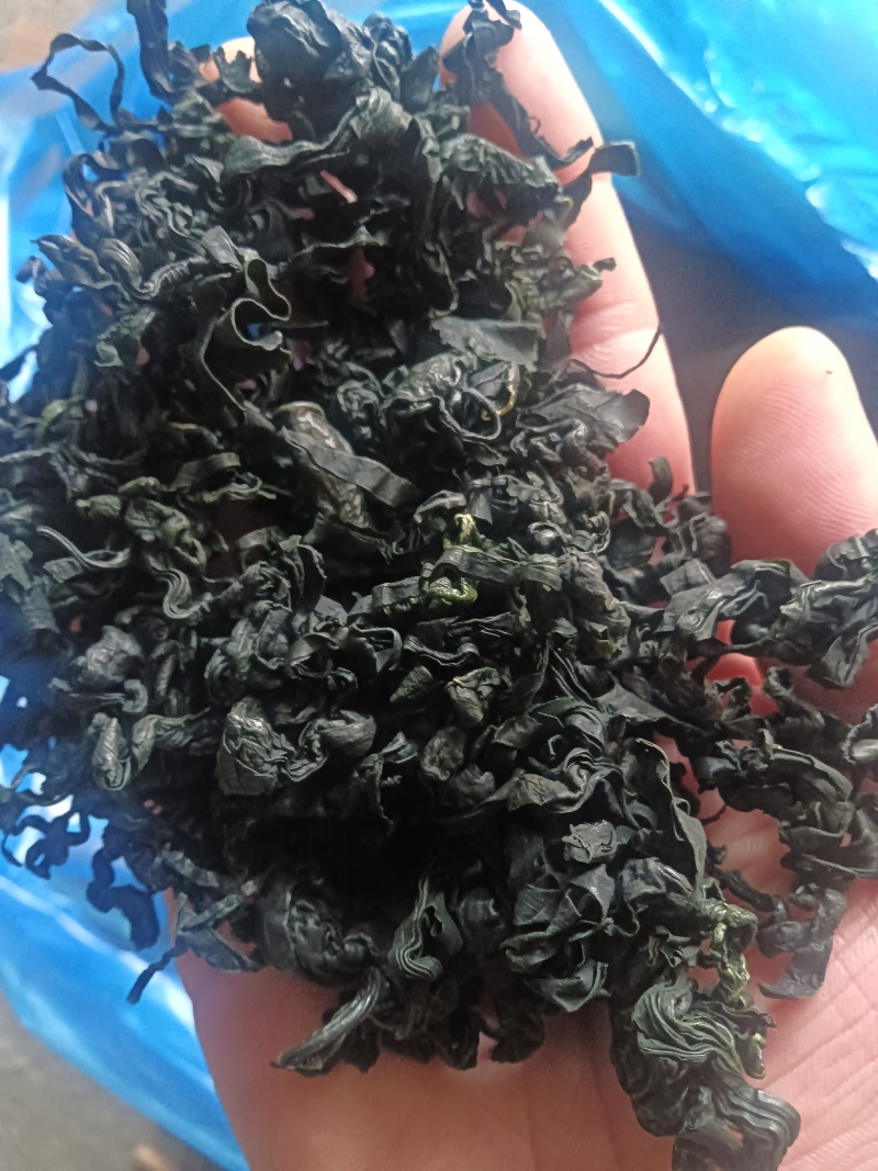 裙带菜！淡干群带菜！厂家直销！大量供应！各种规格价格美丽