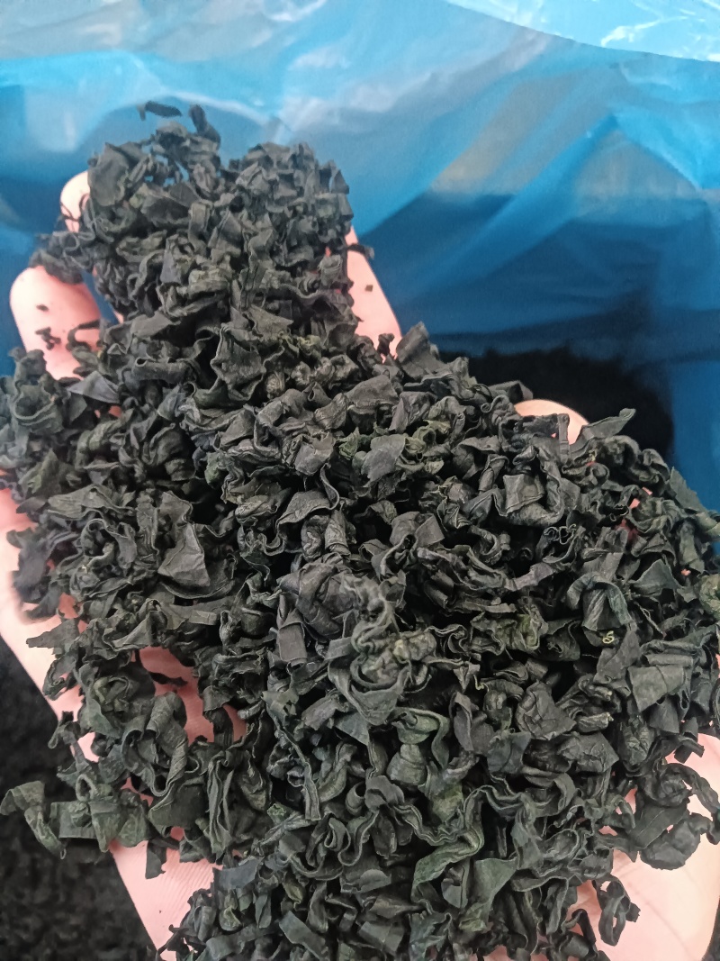 裙带菜！淡干群带菜！厂家直销！大量供应！各种规格价格美丽