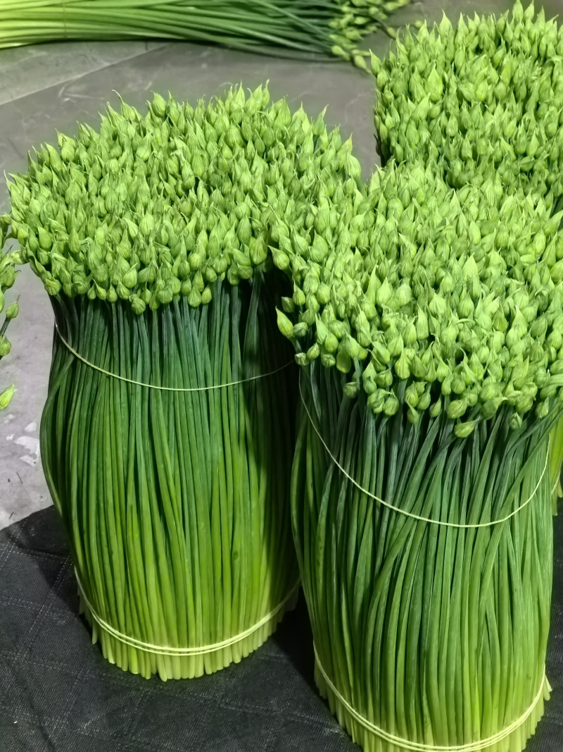 韭菜花
