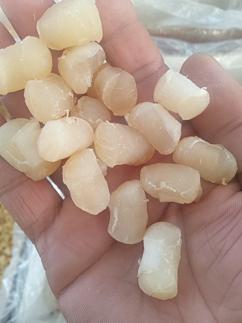 假淡干干贝！干度好！价格美丽！