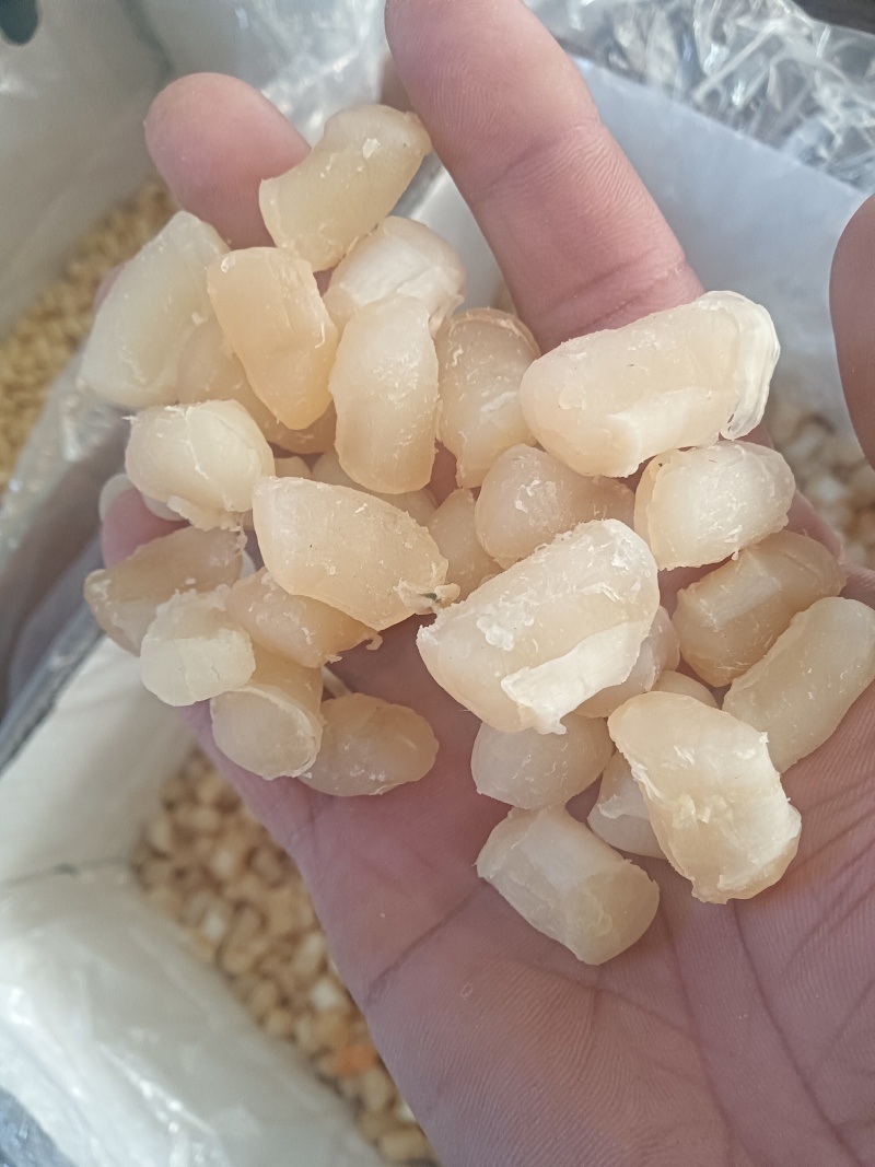 假淡干干贝！干度好！价格美丽！