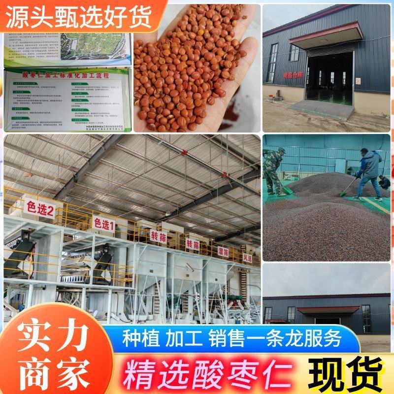 【酸枣仁】源头厂家权威检测种植加工销售一体化江西