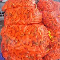 次品新鲜胡萝卜，养殖用加工厂脱水厂酱菜厂水洗土货全年供应