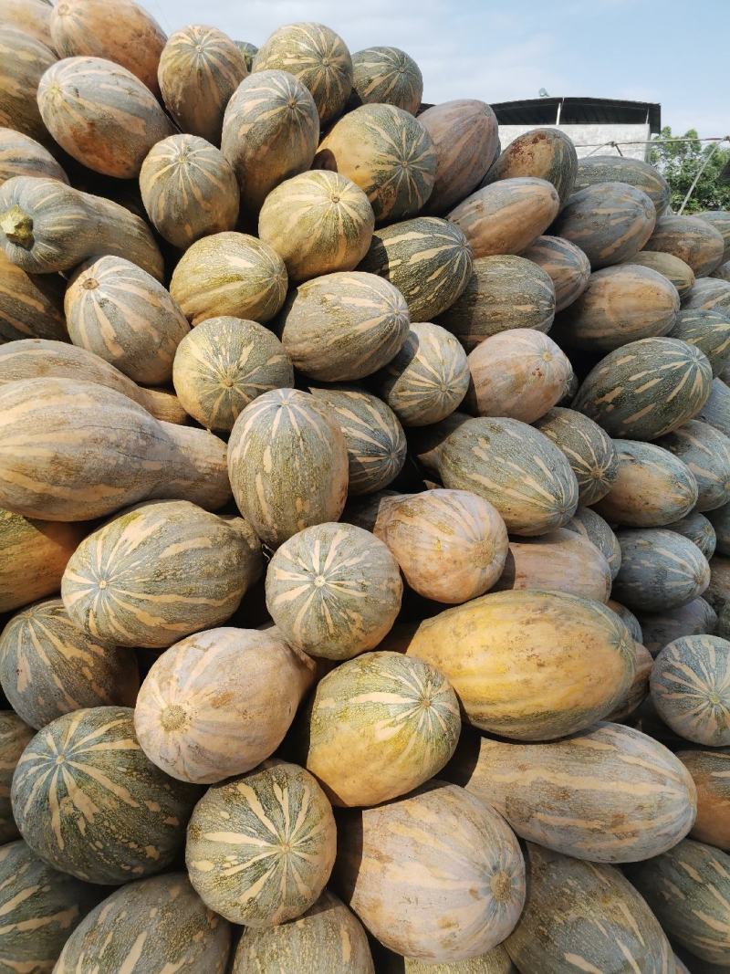 广西南瓜，小香芋南瓜，产地直供，蜜本南瓜