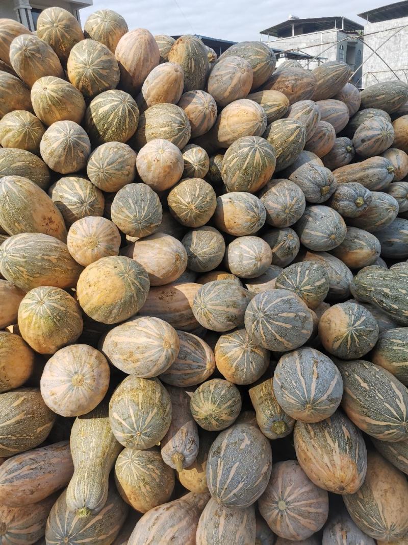广西南瓜，小香芋南瓜，产地直供，蜜本南瓜