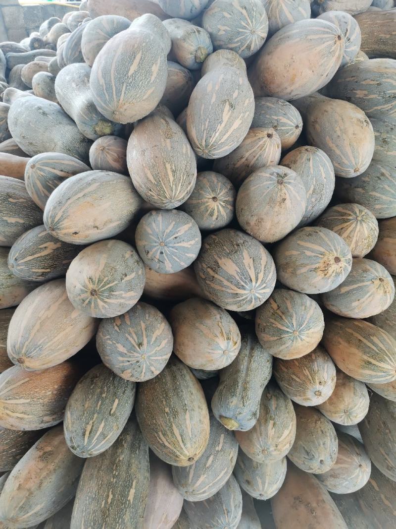 广西南瓜，小香芋南瓜，产地直供，蜜本南瓜