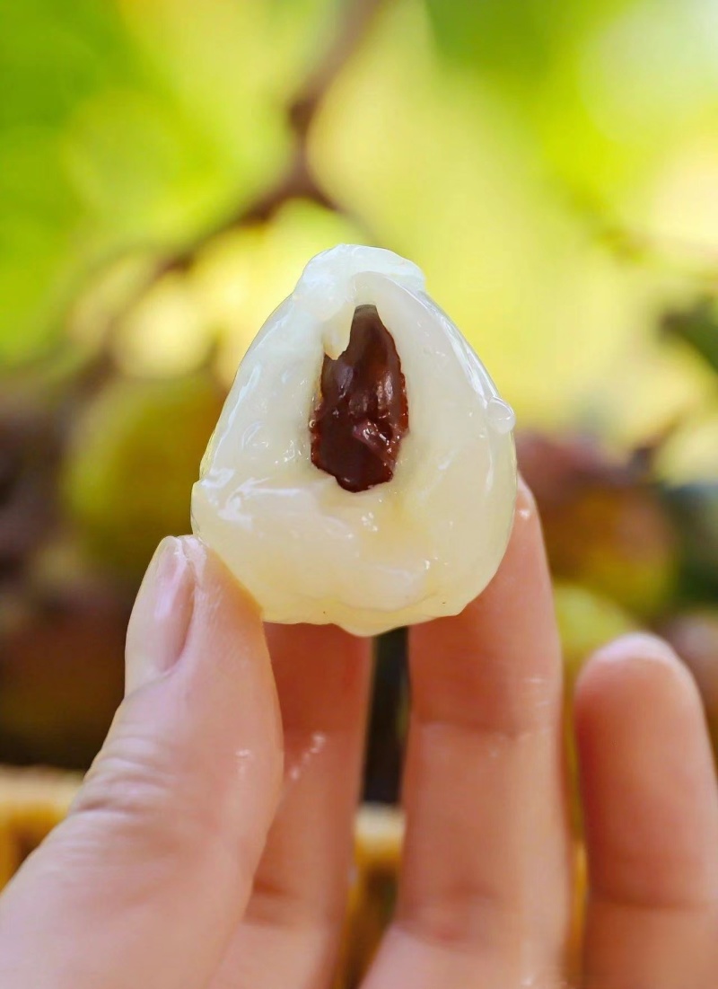 荔枝妃子笑新鲜当季水果非桂味白糖罂黑叶现摘现发