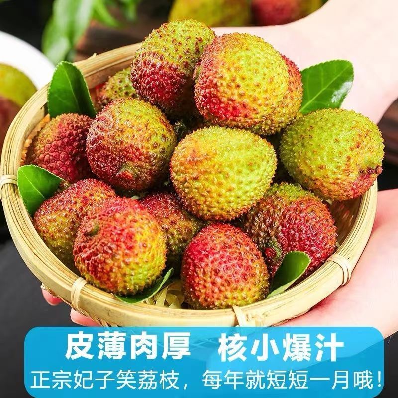 荔枝妃子笑新鲜当季水果非桂味白糖罂黑叶现摘现发