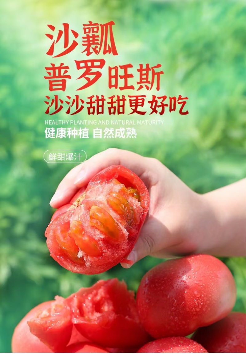 普罗旺斯水果西红柿