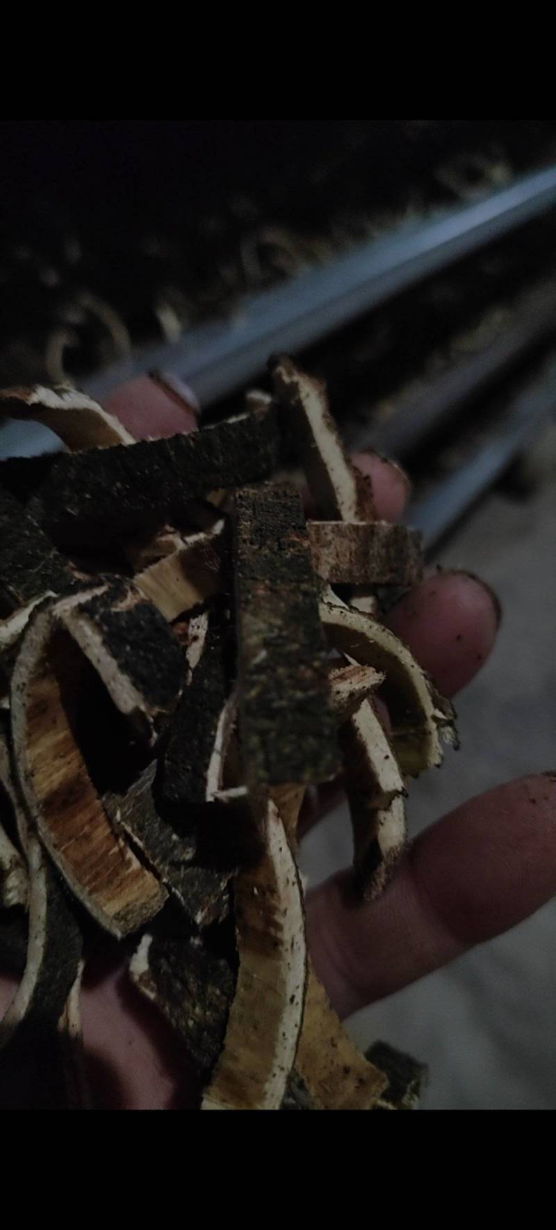 精品合欢皮药材品质好产量大货源充足价格优惠欢迎咨询