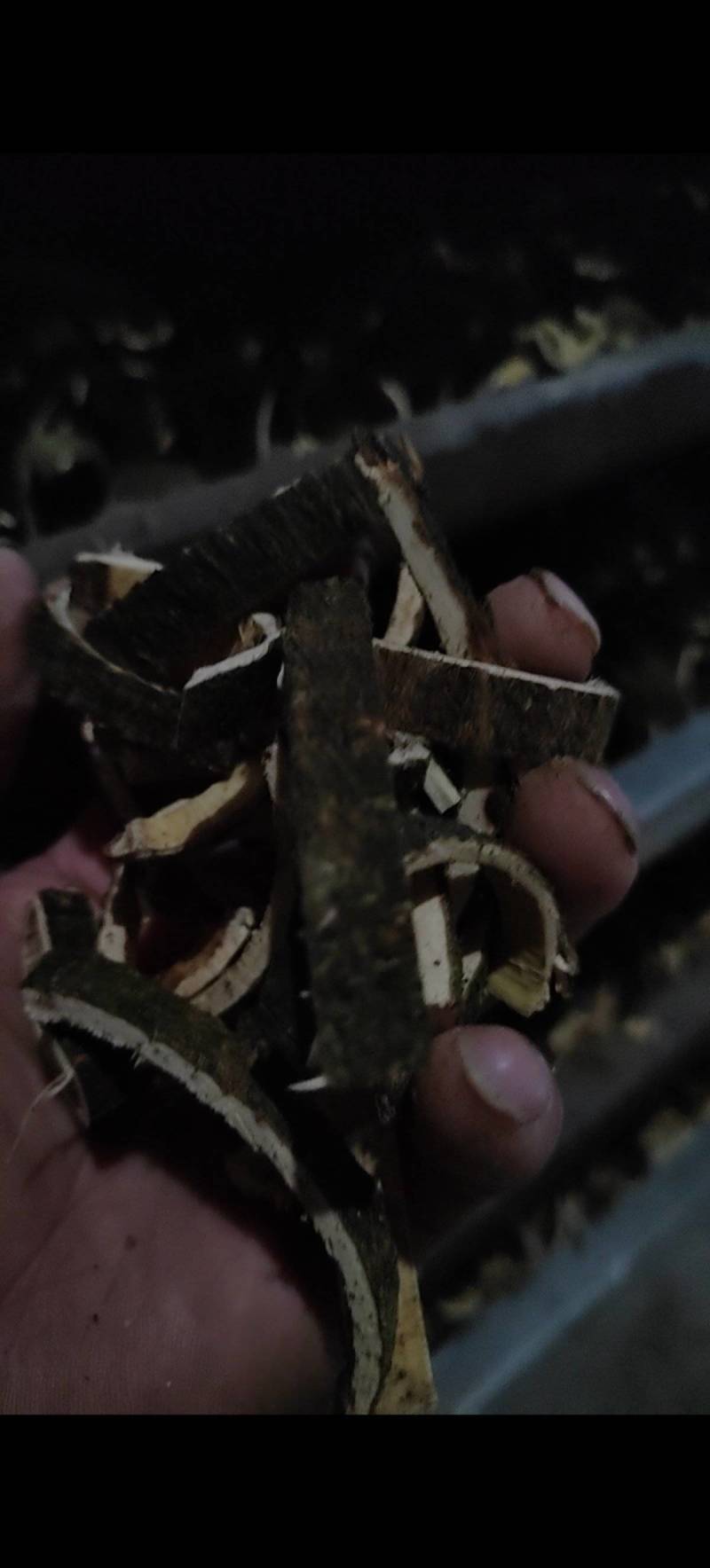精品合欢皮药材品质好产量大货源充足价格优惠欢迎咨询